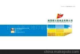 【供应产品说明书目录画册彩色印刷(图)】价格,厂家,图片,纸类印刷,长沙市新天地印刷设计-