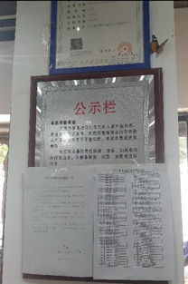 所有南昌车主 这件事千万别做,逮着一次罚50 还要新增一批电子警察,马上上岗