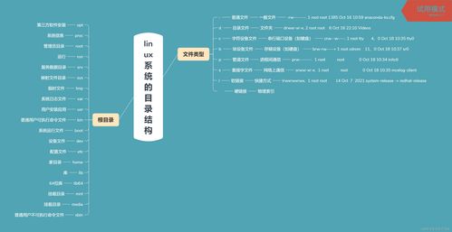 linux系统的目录结构